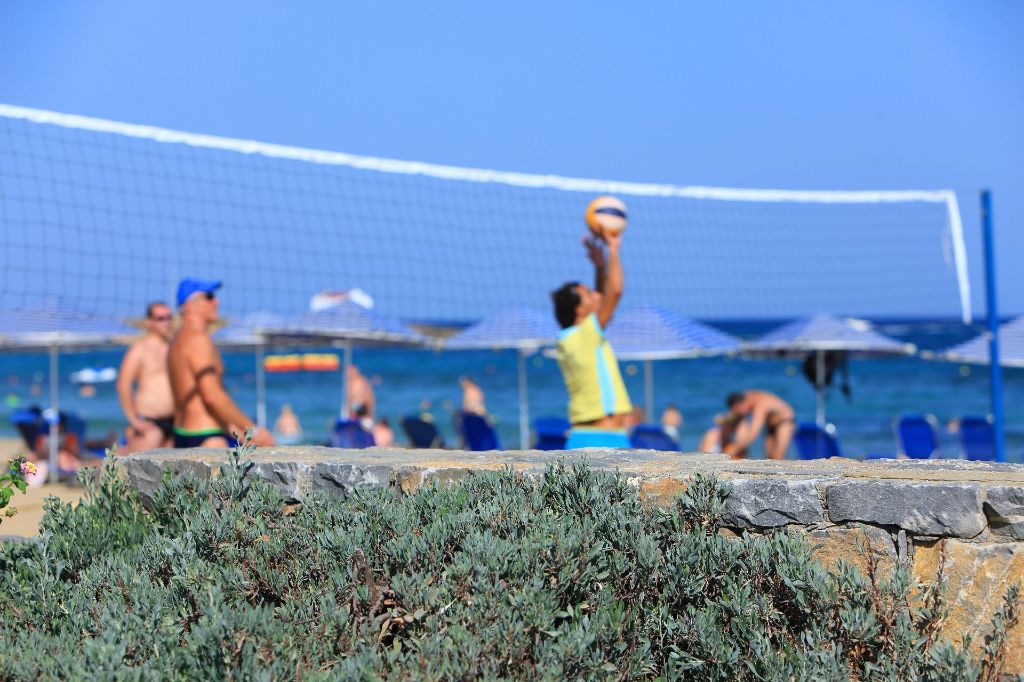 VOLLEYBALL
