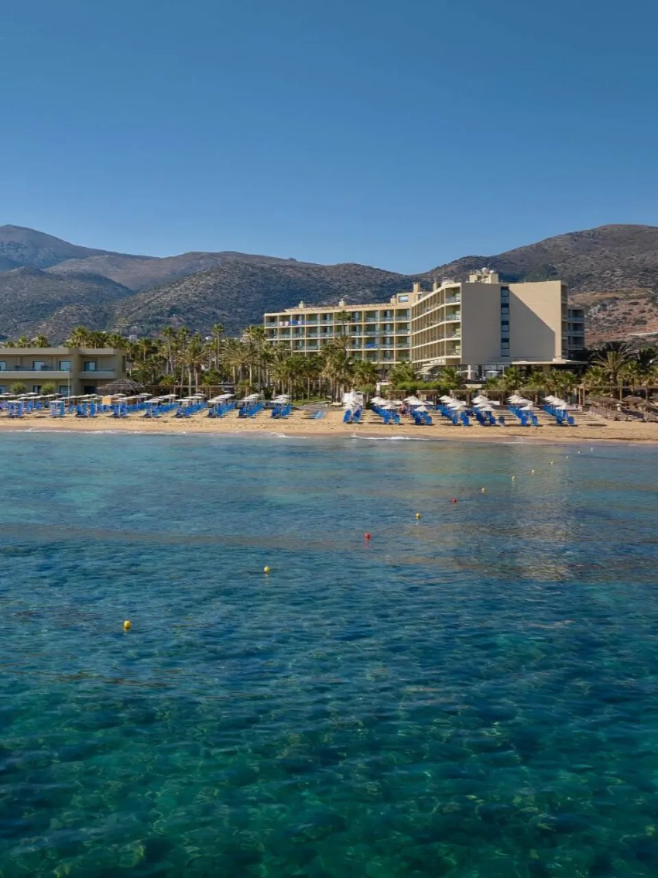 Beach Paradise